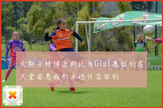 文斯卡特悼念科比与Gigi愿你们在天堂安息我们永远怀念你们