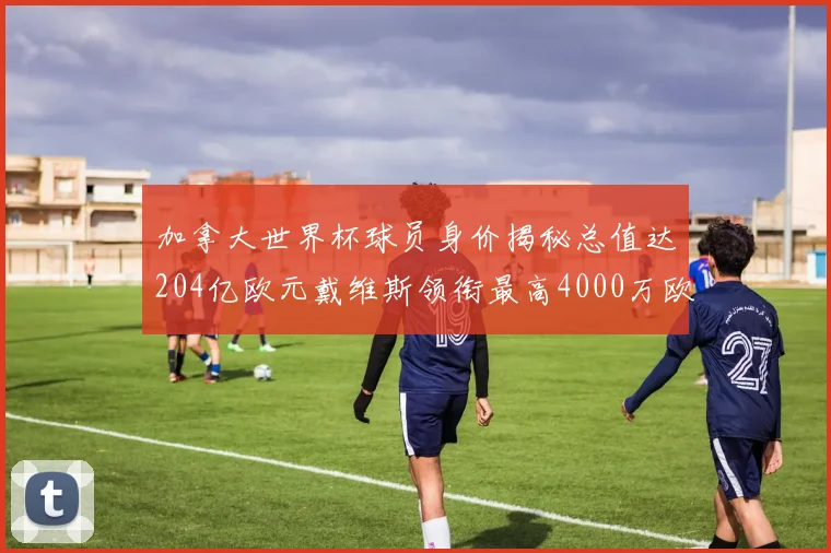 加拿大世界杯球员身价揭秘总值达204亿欧元戴维斯领衔最高4000万欧